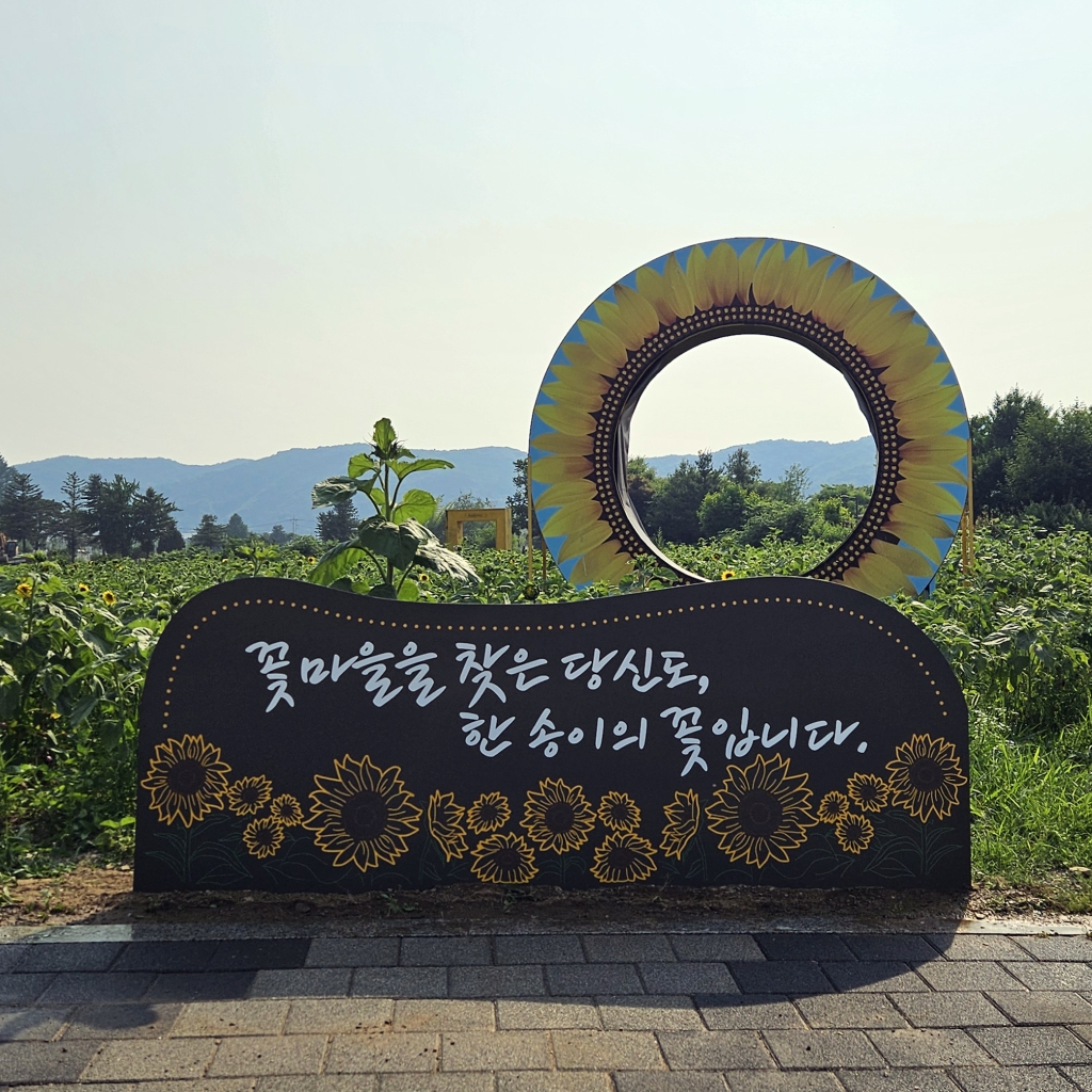 안내판(25736984)