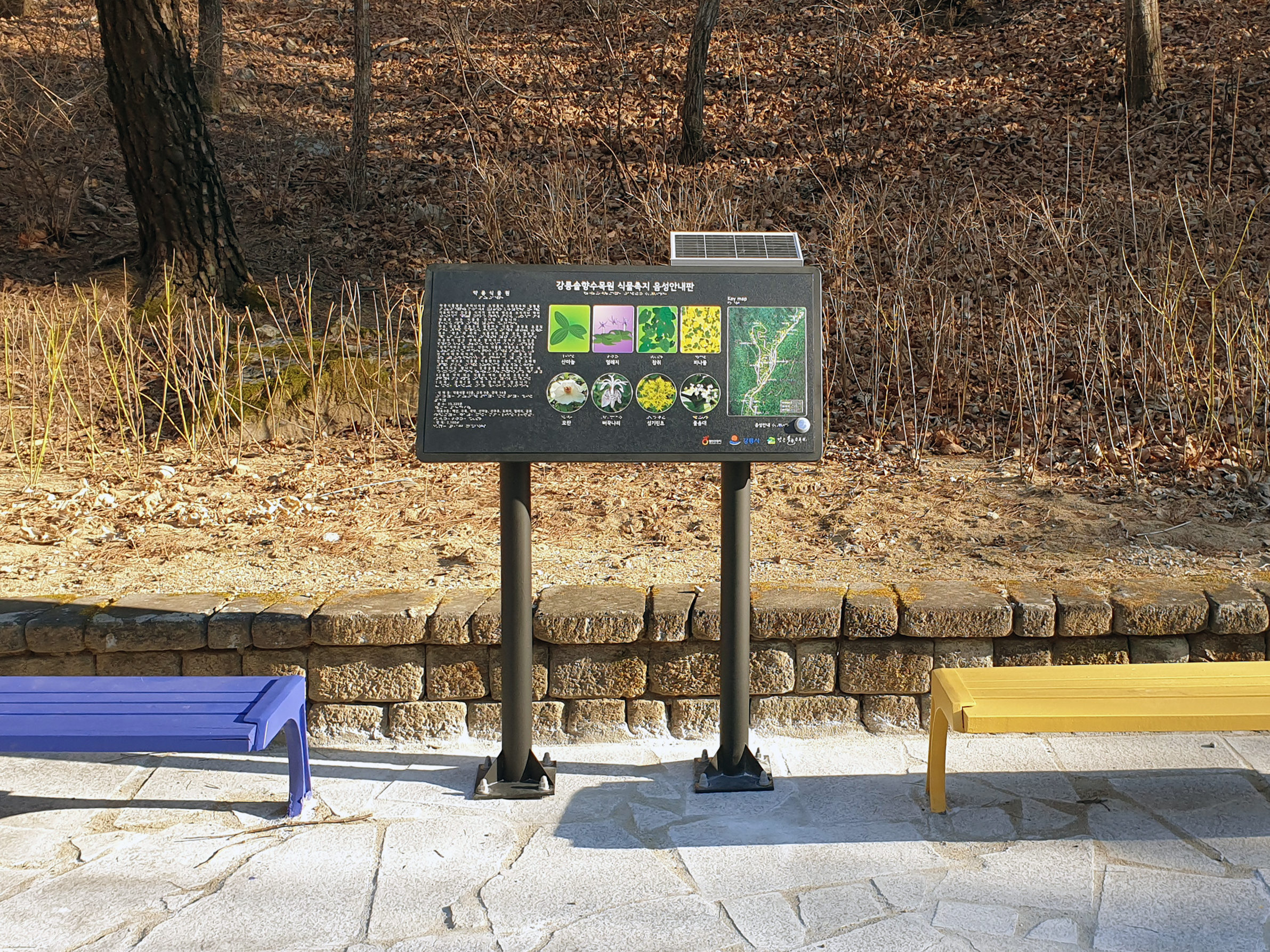 강릉도시개발공사 강릉솔향수목원